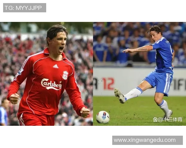身高183的足球球星盘点揭秘那些凭实力征服绿茵场的传奇人物
